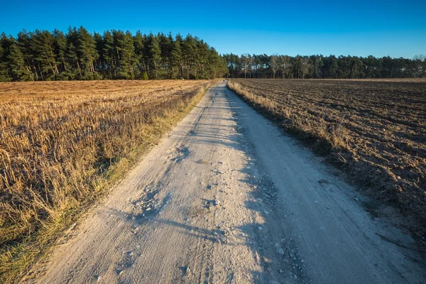 Veld met landelijke weg — Stockfoto