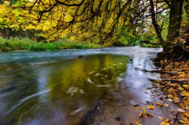 Sonbahar renkli ormandaki yabani Nehri