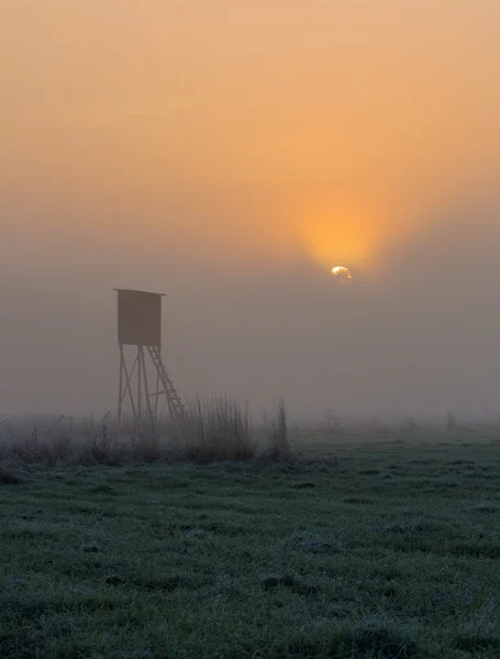 Sonnenaufgang über erhabenem Fell — Stockfoto