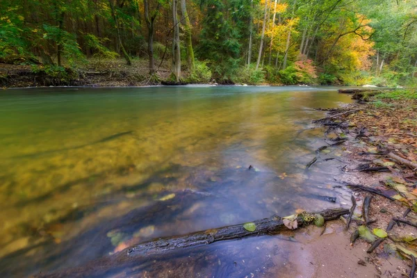 Río salvaje en bosque colorido otoñal —  Fotos de Stock