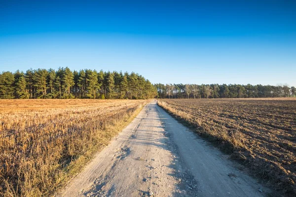 Veld met landelijke weg — Stockfoto