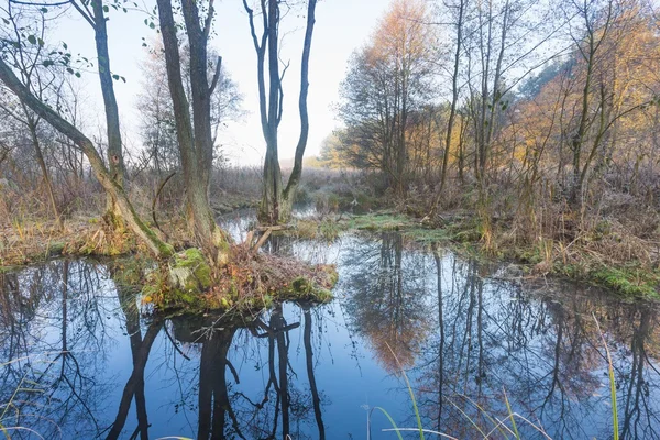 Sabah sulak — Stok fotoğraf