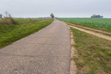 Kırsalda eski asfalt yol