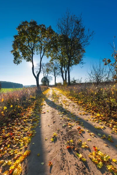 Autumnal rural landscape — Stock Photo, Image