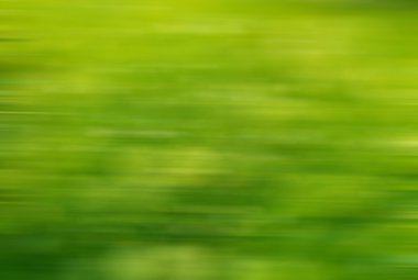 Bulanık yeşil bitkiler arka plan