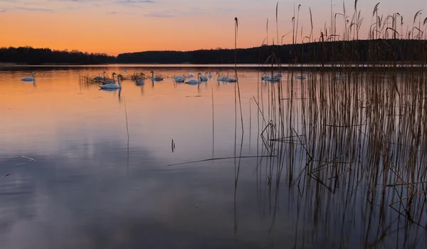 Güneş battıktan sonra göl manzara — Stok fotoğraf