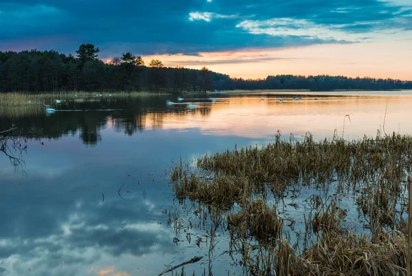 Lake landscape after sunset — Stock Photo, Image