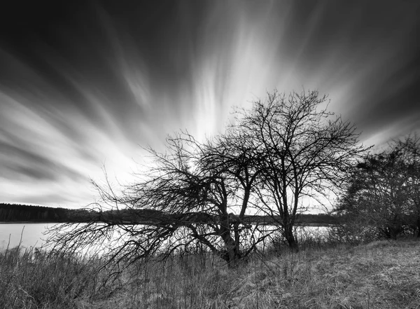 Longa exposição paisagem de nuvens em movimento sobre a árvore murcha — Fotografia de Stock