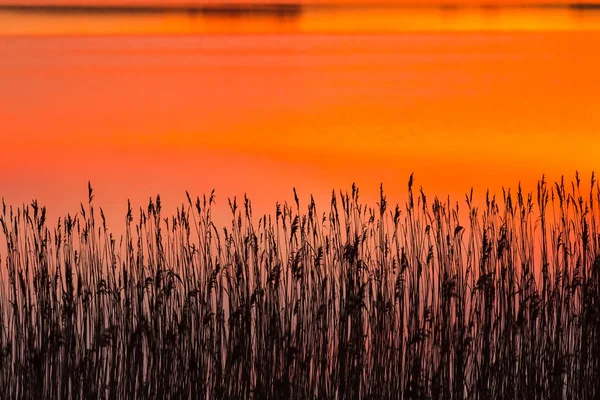 Hermoso lago con cielo colorido atardecer reflejado en el agua. Paisaje tranquilo y vibrante —  Fotos de Stock