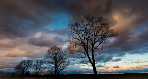 Stormy sky over field and trees — Stock Photo, Image