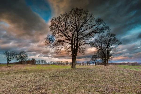 Θυελλώδης ουρανός πάνω από το πεδίο και δέντρα — Φωτογραφία Αρχείου
