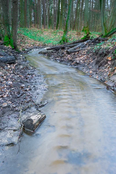 Riviertje in lente bos — Stockfoto