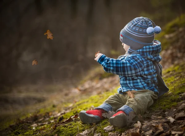 Menino sentado no musgo da floresta e brincando com folhas . — Fotografia de Stock
