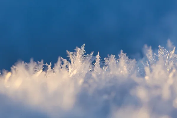 Tutup dari kristal salju — Stok Foto