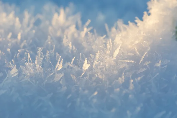 Primer plano de cristales de nieve — Foto de Stock