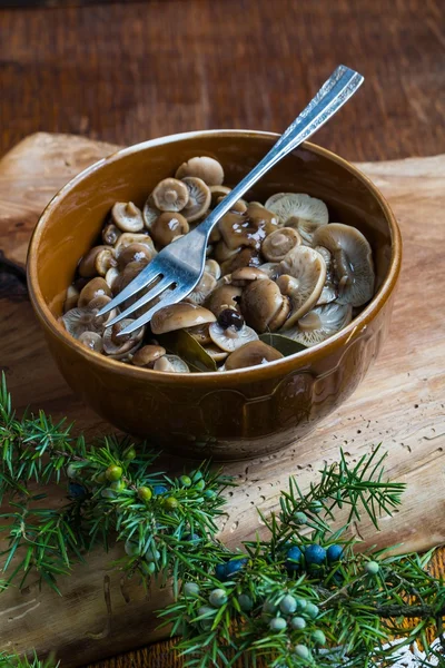 Marinierter Honigpilz in brauner Schüssel auf Holztisch. — Stockfoto