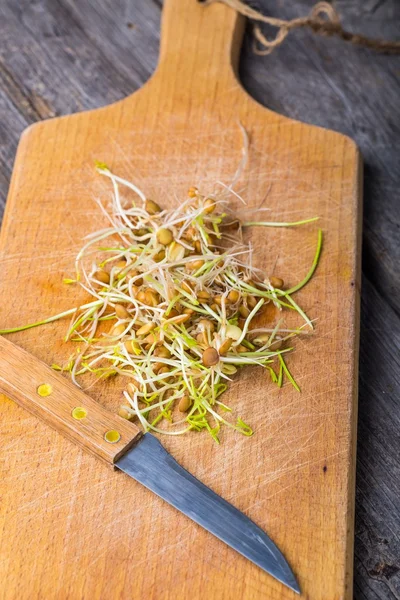 Fresh lentil and wheat sprouts on cutting board. — Stock Photo, Image