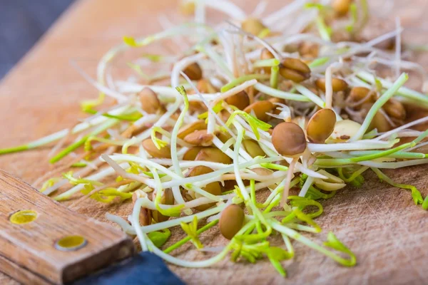 Fresh lentil and wheat sprouts on cutting board. — Stock Photo, Image