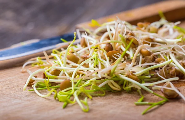 Fresh lentil and wheat sprouts on cutting board. — Stock Photo, Image