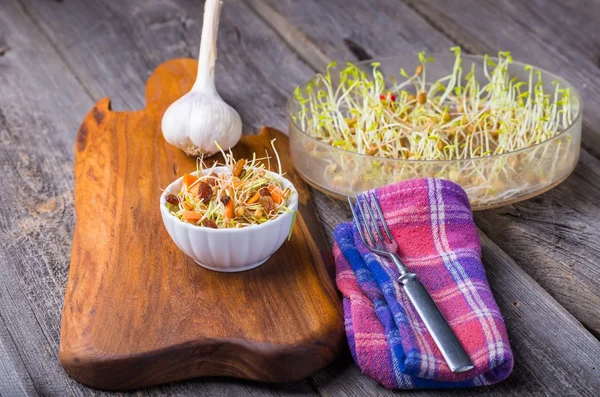 Fresh lentil and wheat sprouts salad with carrot, raisins, olive and garlic — Stock Photo, Image