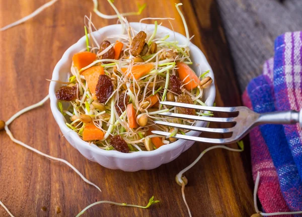 Fresh lentil and wheat sprouts salad with carrot, raisins, olive and garlic — Stock Photo, Image