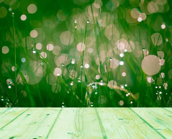 Herbe humide printanière avec effet bokeh et floo en bois — Photo