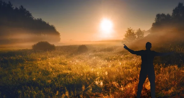 Adam siluet ile çayır