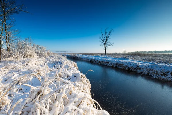 Invierno río paisaje —  Fotos de Stock