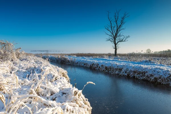 Rivier winterlandschap — Stockfoto