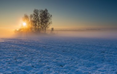 Tarım alanı üzerinde gündoğumu.