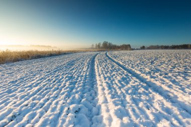 Güzel kış alan manzara.