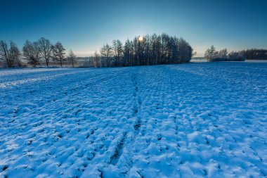 Güzel kış alan manzara.
