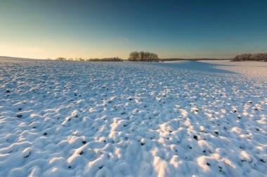 Güzel kış alan manzara.