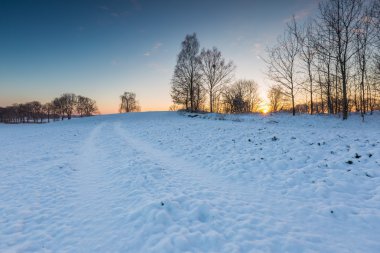 Tarım alanı üzerinde gündoğumu.