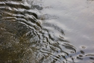 Dalgaların yüzeyle Nehri