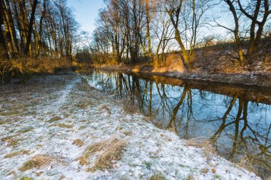 Ormandaki Kış Nehri