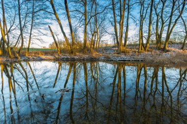 Ormandaki Kış Nehri