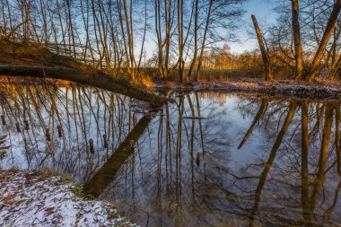 Ormandaki Kış Nehri
