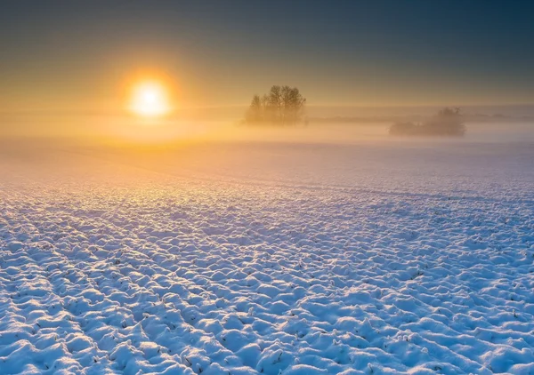 Piękny zimowy krajobraz pola. — Zdjęcie stockowe