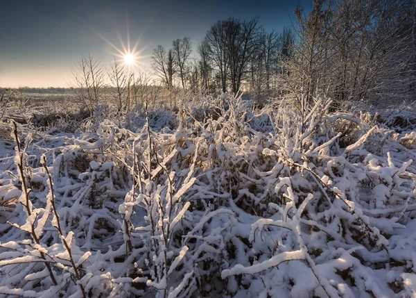 Piękny zimowy wschód słońca — Zdjęcie stockowe