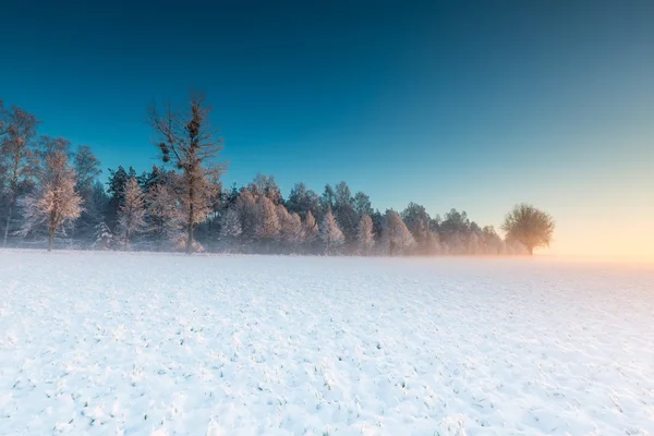 Bonita paisagem campo de inverno . — Fotografia de Stock