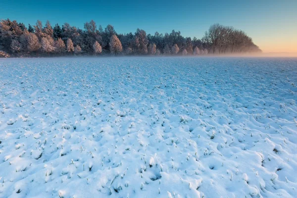 Smukke vinter felt landskab . - Stock-foto