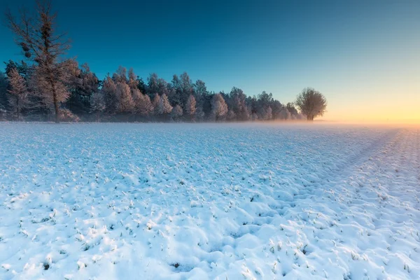 Hermoso paisaje de campo de invierno . — Foto de Stock