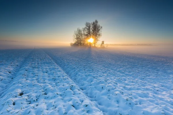 Piękny zimowy krajobraz pola. — Zdjęcie stockowe
