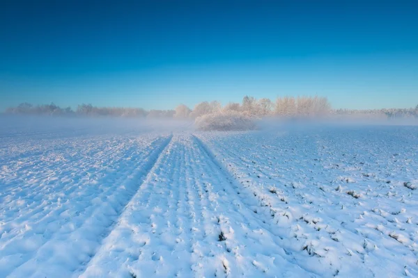 Piękny zimowy krajobraz pola. — Zdjęcie stockowe