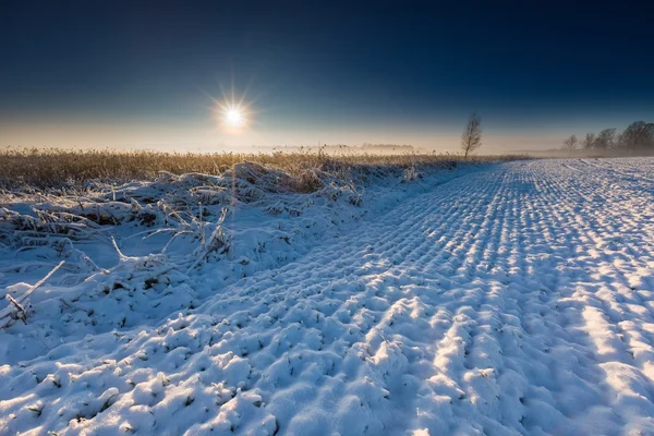 Hermoso paisaje de campo de invierno . — Foto de Stock