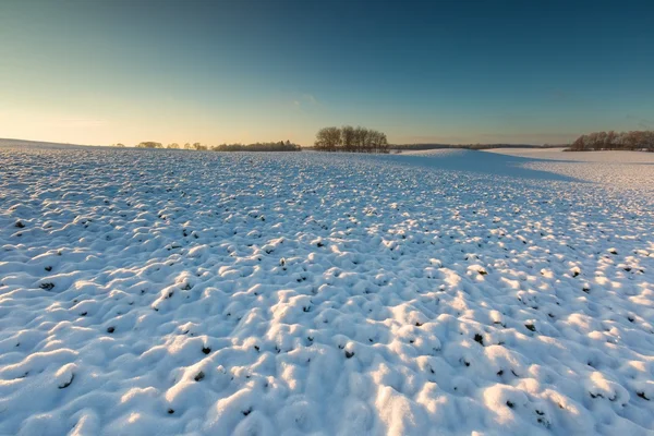 Vackert vinterlandskap fält. — Stockfoto