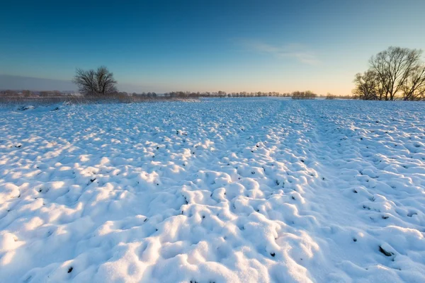 Krásná Zimní krajina pole. — Stock fotografie