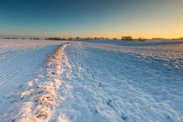 Vackert vinterlandskap fält. — Stockfoto