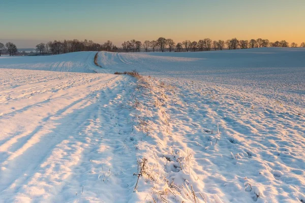 フィールドの美しい冬の景色. — ストック写真